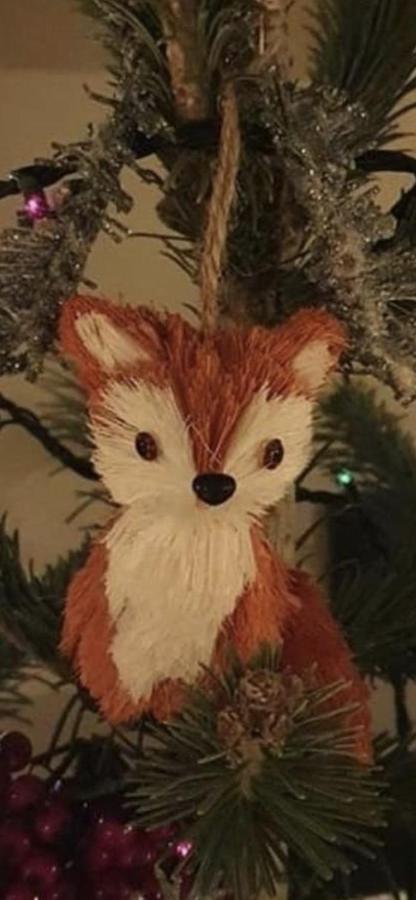 The Fox Inn 애빙던 외부 사진